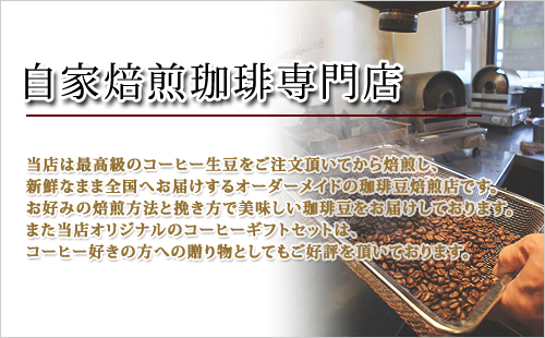 ���ͤ��ޥץ顼�� �ӡ��� �����������ꡡ������������ҡ��ץ쥼��ȡ���ˤ������渵�����եȡ������桡ǥ���桡���ե�����쥹�����ҡ�